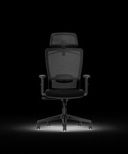 Flexispot Ergonomic Swivel