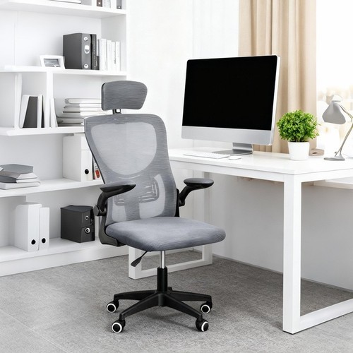 New mesh office - mesh, chair